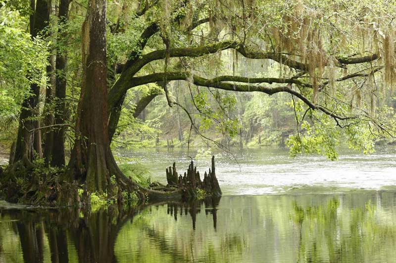 National Park, Miami